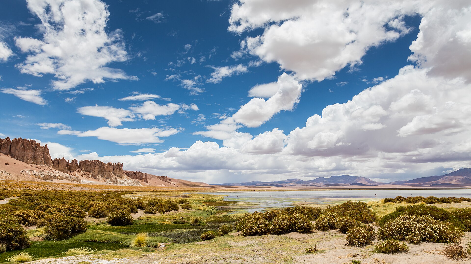 Clear night sky in the Atacama Desert